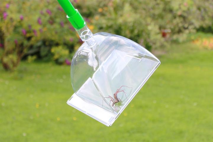 Image du produit Katcha Big Bug
