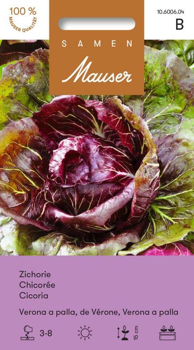 Image du produit Samen Mauser Chicorée Vérone a palla (Graines de légumes)
