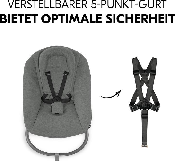 Image du produit Hauck Alpha Bouncer