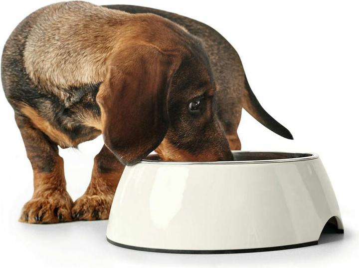 Immagine prodotto Hunter Ciotola in melamina (1.40 l)