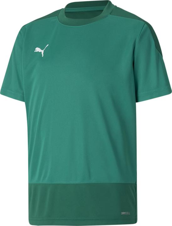 Puma teamGOAL 23 TRG Jersey Jr-656569 (116)
