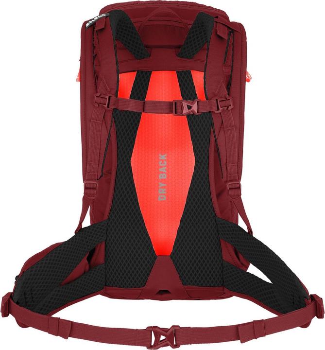 Actual product image Salewa Alp Trainer L Backpack Da (20 l)
