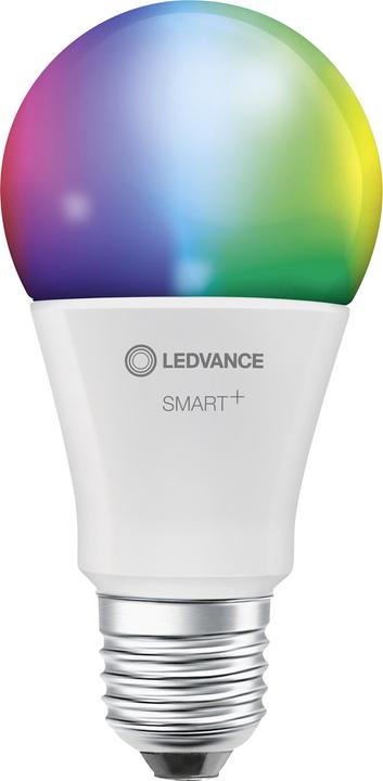 Multicolore