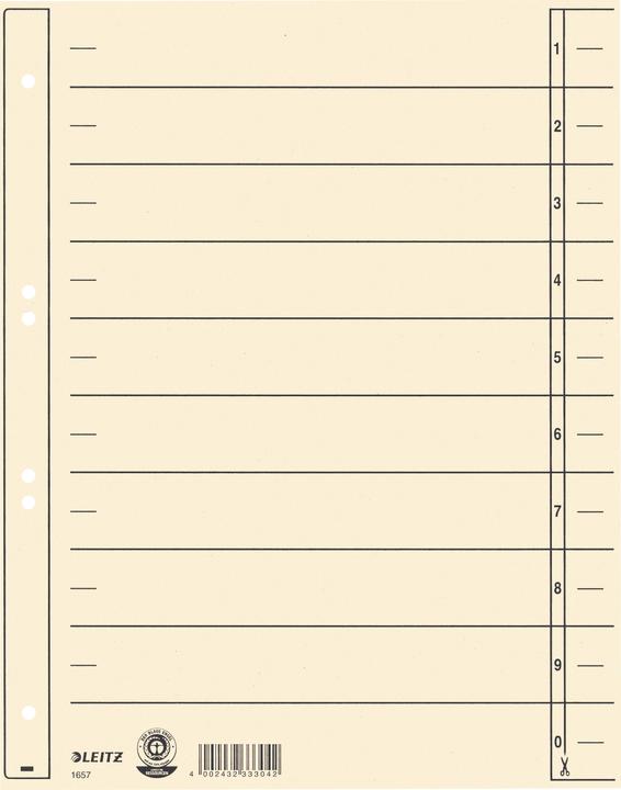 Actual product image Leitz Separator sheet