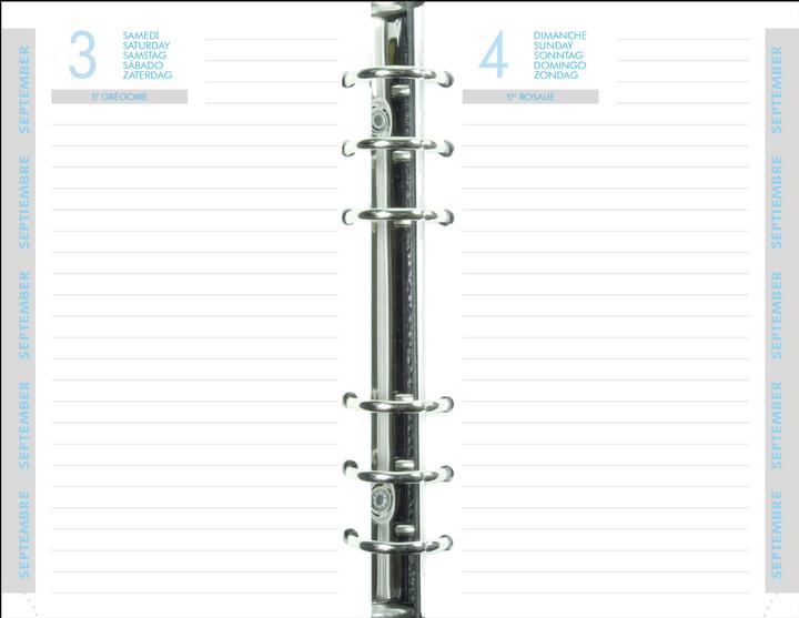 Actual product image Exacompta Exatime 17 Replacement Content (French)