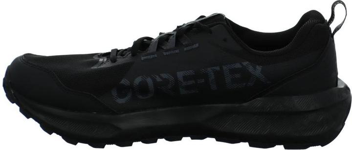 Produktbild ASICS Performance Gel Sonoma 8 GTX (45)