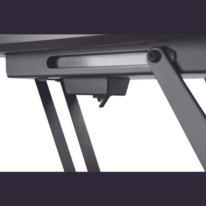 Actual product image myWall HL40ML (Ceiling, 55", 30 kg)
