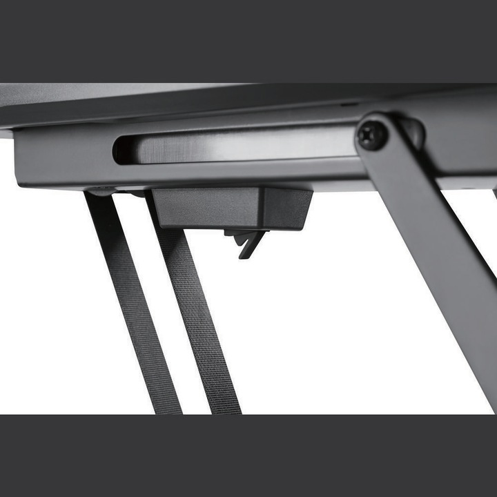 Produktbild myWall HL40ML (Decke, 55", 30 kg)
