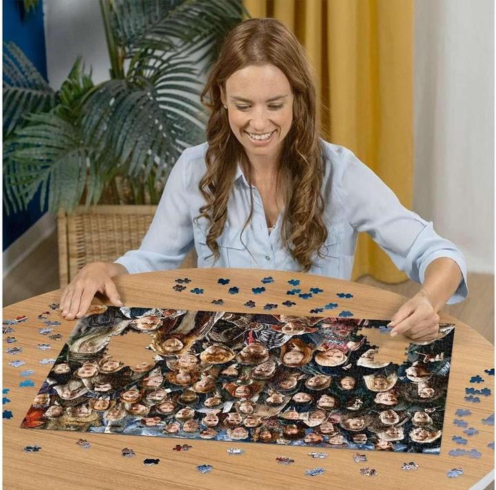 Actual product image Ravensburger Challenge Harry Potter (1000 pieces)