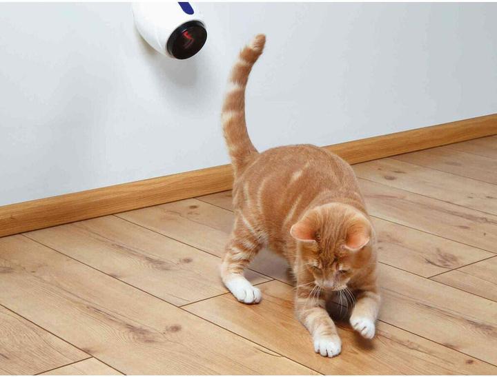 Actual product image Trixie Ximena (Cat activity toy)