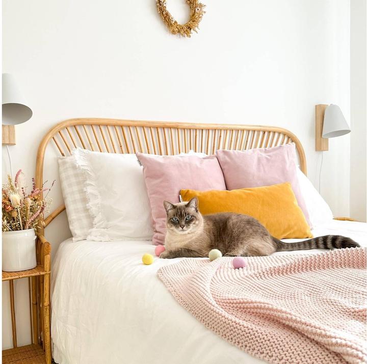 Image du produit District 70 Jouets pour chats Glow Felt Ball Toys, 35 mm, 4 pièces (Jouet à balle chat)