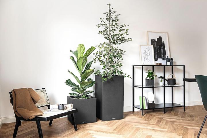 Produktbild Lechuza Canto (30 x 40 x 30 cm)