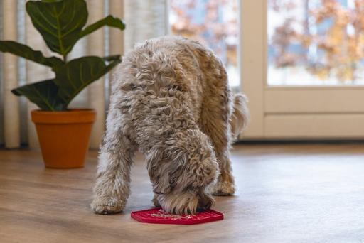 Produktbild Beeztees Leckmatte Hexagon