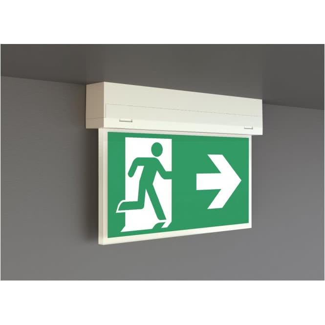 Rp-Group, Sicherheitskennzeichnung, LED-Rettungszeichenleuchte