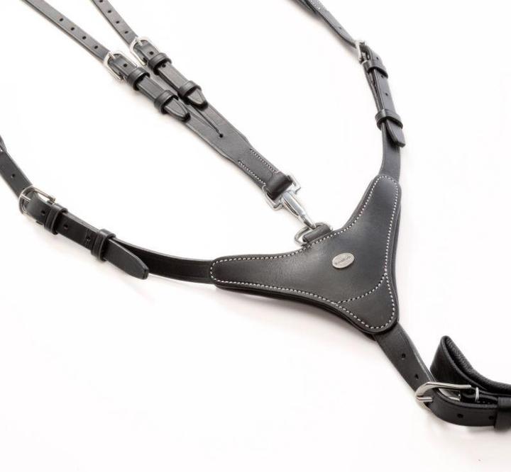 Image du produit Kavalkade Dexter