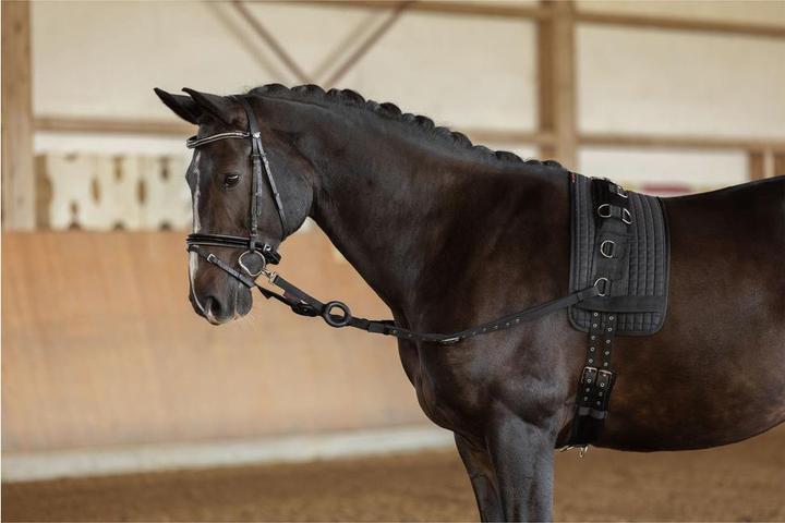 Image du produit Kerbl Rênes d'encolure