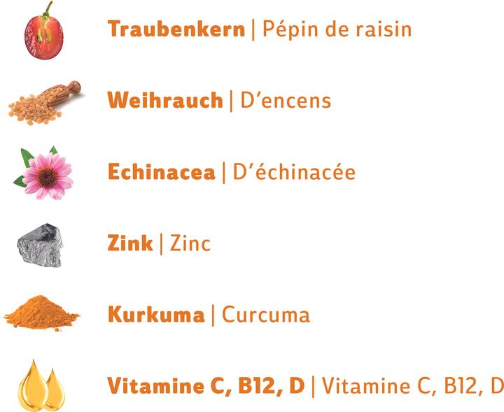 Nutritional values and ingredients R&R SWISS IMMUNE Drop (15 Piece, Pastilles, 32 g)