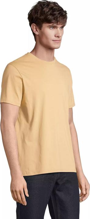 Actual product image Sol's Legend (XL)