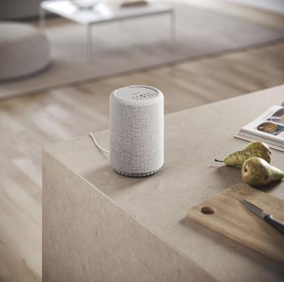 Actual product image Audio Pro A10 MkII W (Airplay 2, Bluetooth, Chromecast, Wi-Fi)