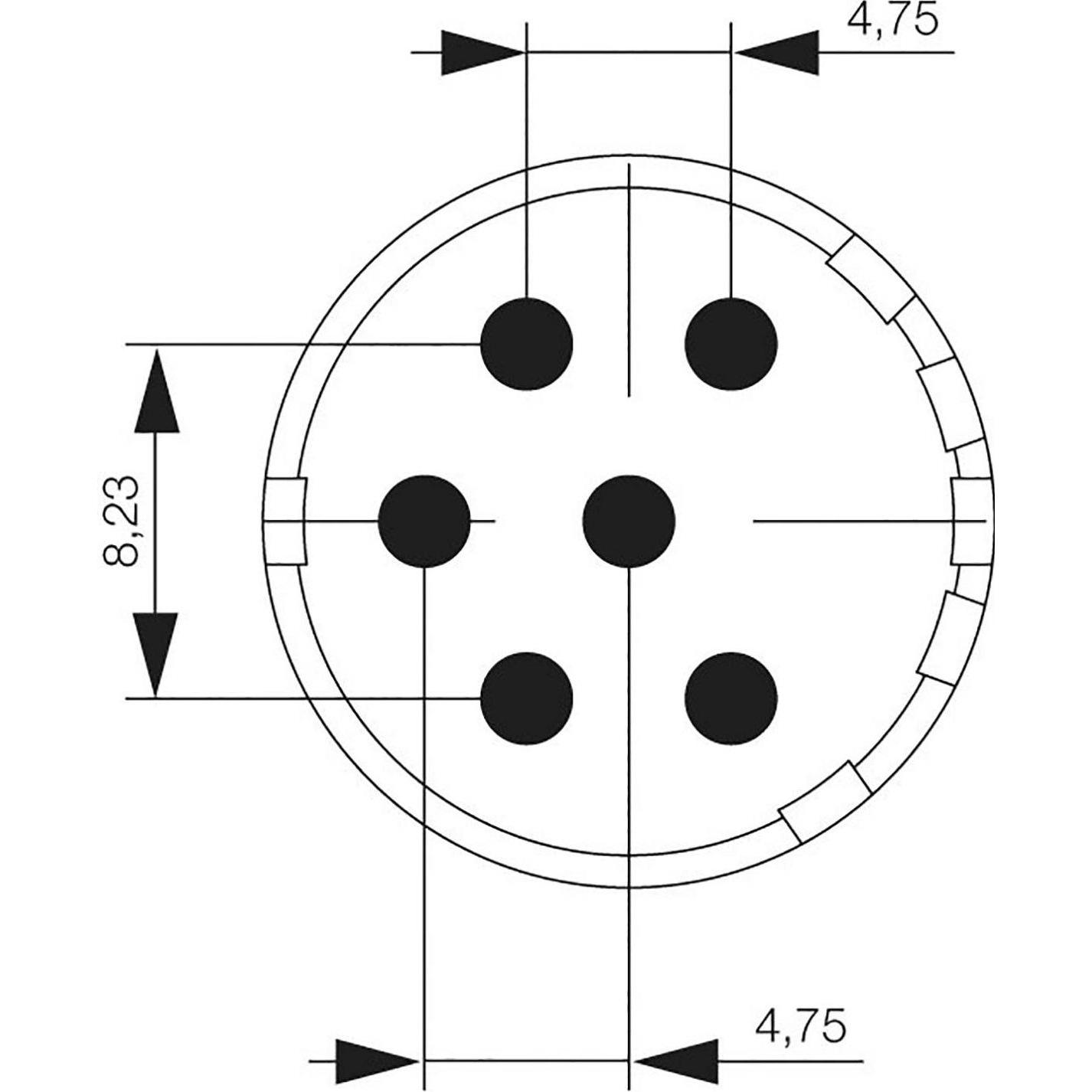 Weidmüller Contatto, Cavo + Spina elettrica