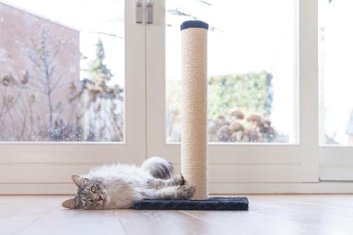 Produktbild Beeztees Katzenmöbel (60 cm, Schwarz)