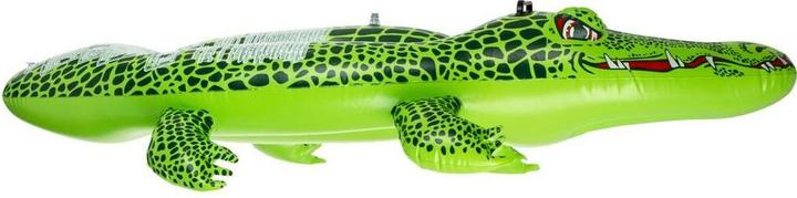 Actual product image Jilong Crocodile