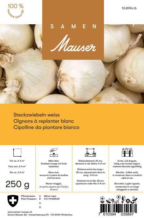 Actual product image Samen Mauser Onion white (Flower bulbs)