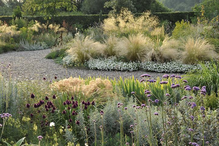 Immagine prodotto Meine Vision wird Garten (Tedesco, Peter Janke, 2012)