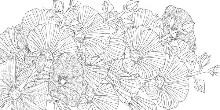 Produktbild Zauberhafte Gärten