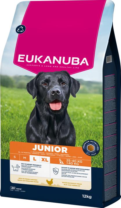 Actual product image Eukanuba Developing Junior (Junior, 1 pcs., 12000 g)