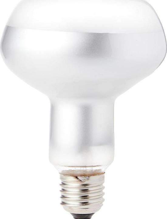 Actual product image Exo Terra Sun Glo Heat Spot Lamp (UVA)