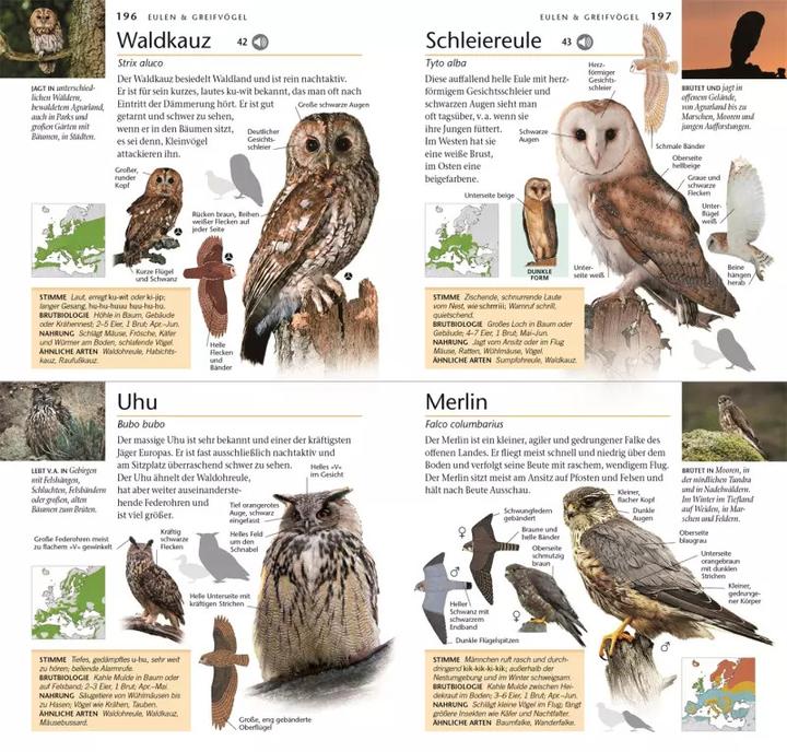 Produktbild Vögel (Deutsch, Eva Sixt, John Woodward, Jonathan Elphick, 2023)