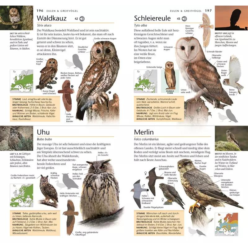 Thumbnail - Vögel, Ratgeber von John Woodward, Jonathan Elphick, Eva Sixt