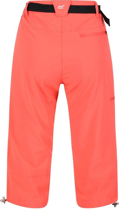 Produktbild Regatta Xert Freizeitshorts (40)