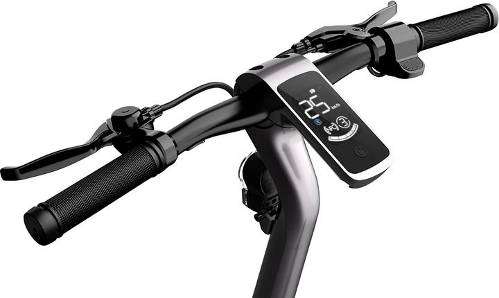 Actual product image CityBlitz CB081SZ Tiger (20 km/h, 25 km, 350 W)