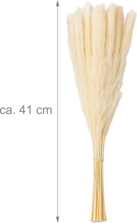 Produktbild Relaxdays 144x Pampasgras (41 cm)