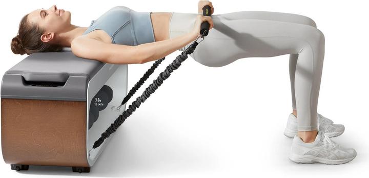 Actual product image KingSmith Multi-function fitness bench Premium FBB1C