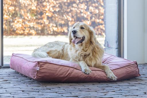 Productafbeelding Designed by Lotte Nalino (Hond)