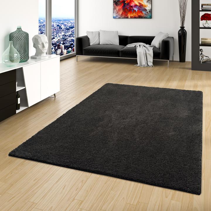 Image du produit Snapstyle Tapis à poils longs Shaggy Palace (80 x 240 cm)