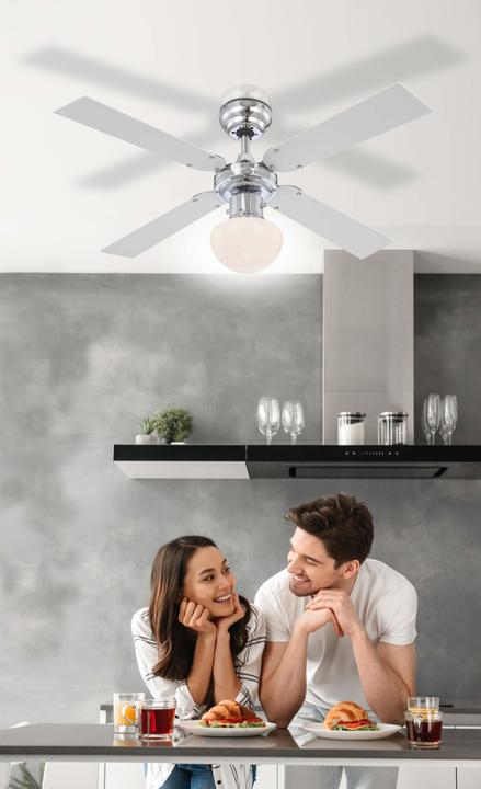 Actual product image Globo Champion (41.89 dB)