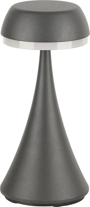 Image du produit Schoenenberger Akku Tischleuchte USB-C MiniGlow I