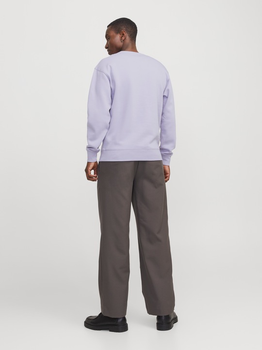 Actual product image Jack & Jones Jjestar Basic Sweat Crew Neck Noos (XS)