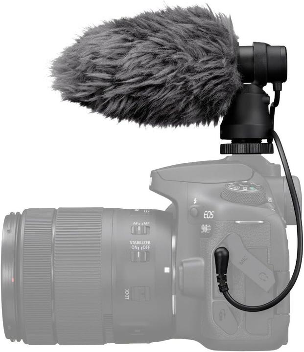 Actual product image Canon DM-E100