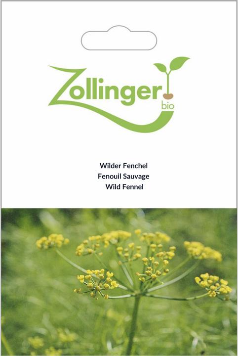 Produktbild Zollinger Bio Wilder Fenchel (Kräutersamen)