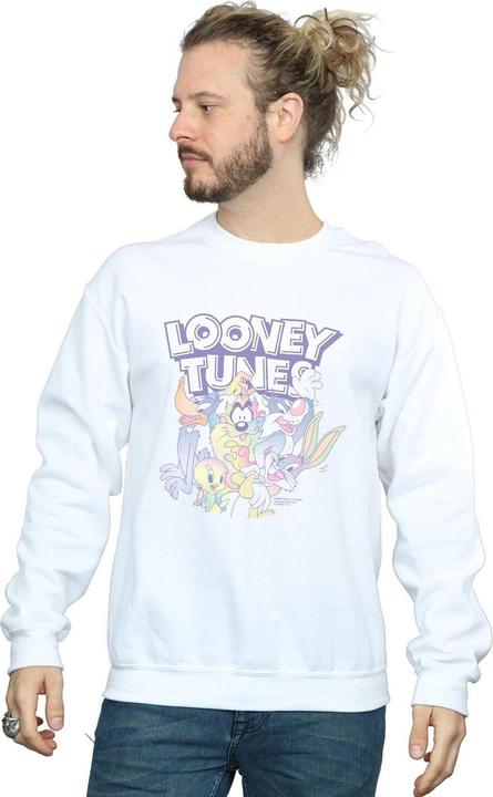 Produktbild Looney Tunes Rainbow Friends Sweatshirt (L)