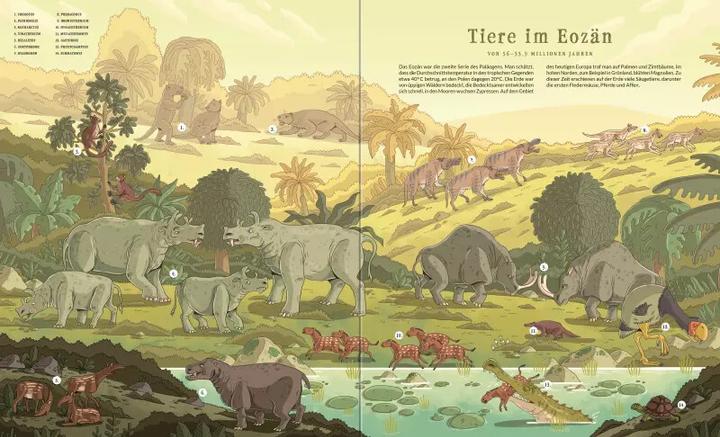 Produktbild Ravensburger Ausgestorben - Das Buch der verschwundenen Tiere (Deutsch, Joanna Wajs, Katarzyna Gladysz, 2020)