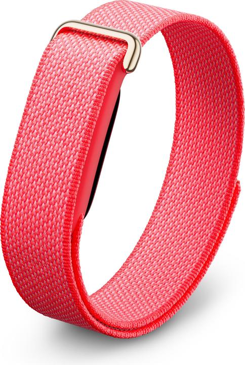 Google Fitbit Air, Berry, EU