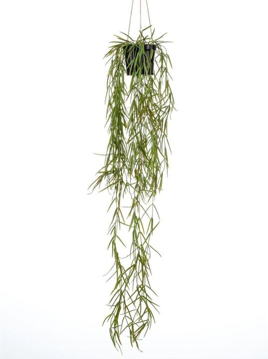 Produktbild Emerald Kunstpflanze (80 cm)