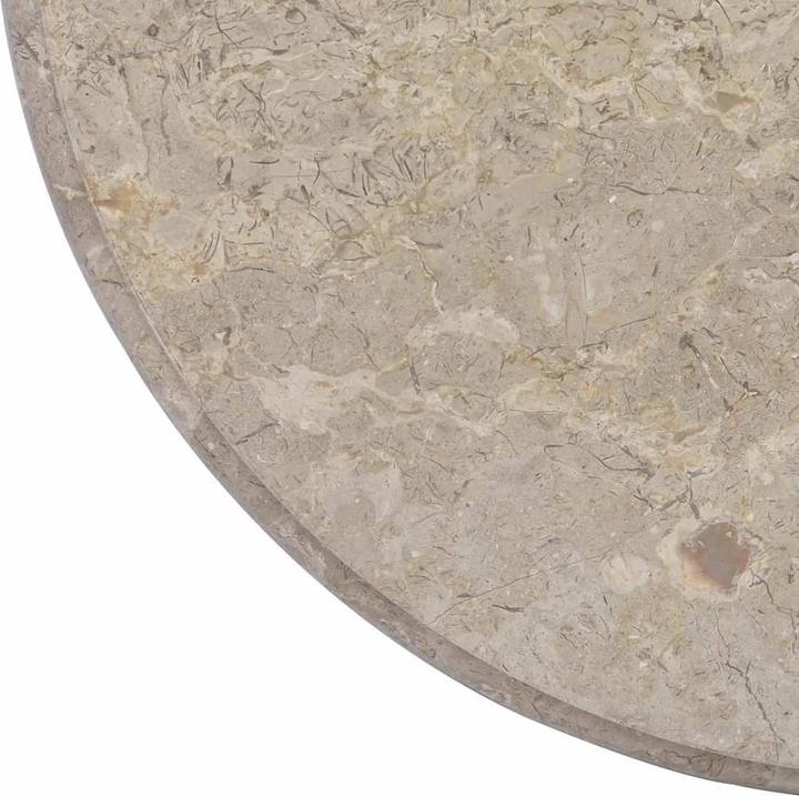 Immagine prodotto vidaXL Tischplatte (60 x 60 cm)