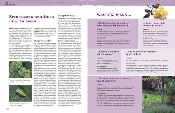 Produktbild Das grosse Praxishandbuch Garten (Deutsch, Wolfgang Hensel, 2015)